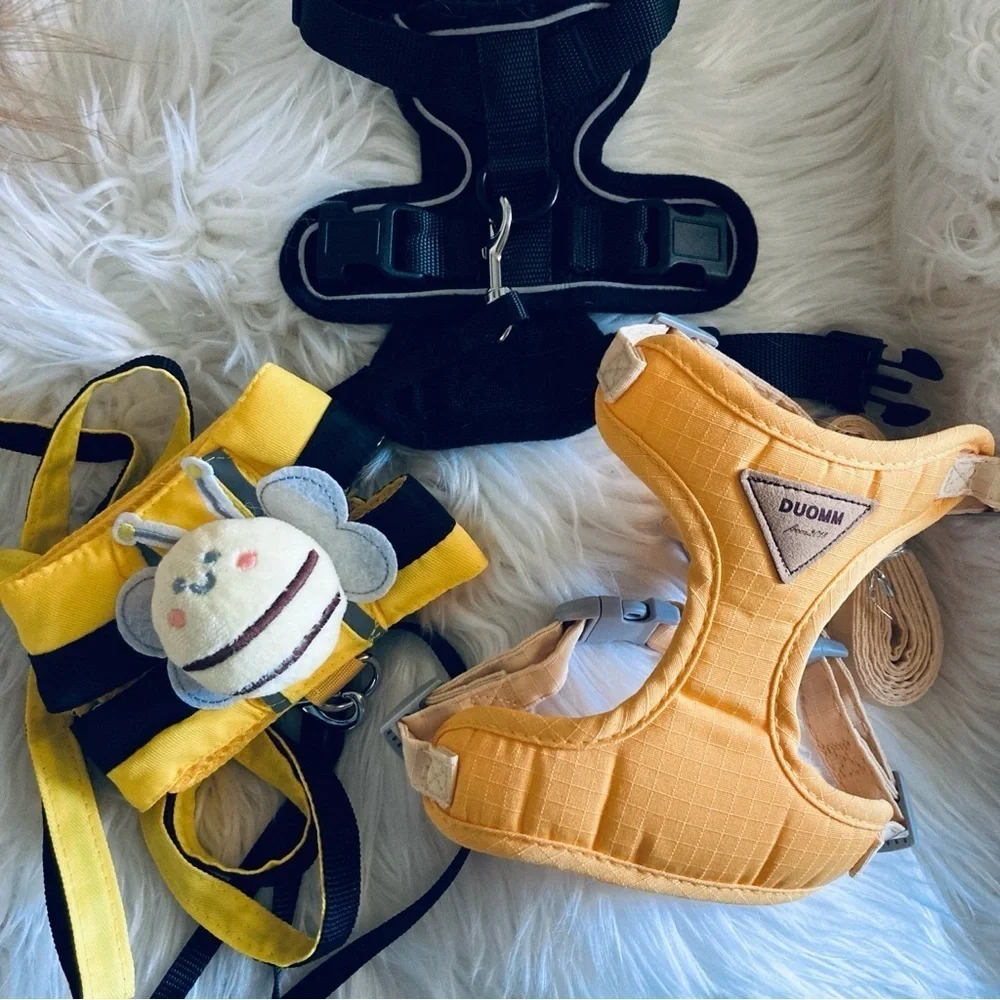 Bundle of Small Dog/Cat Harnesses & Collars
